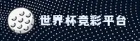 使用指南与常见问题